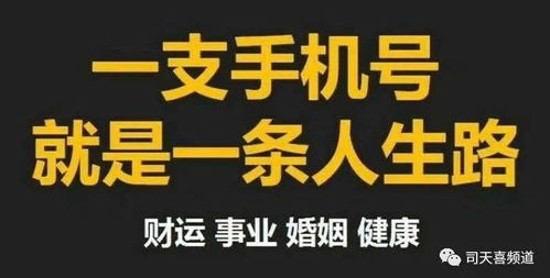司天喜 数字能量中的正桃花与烂桃花