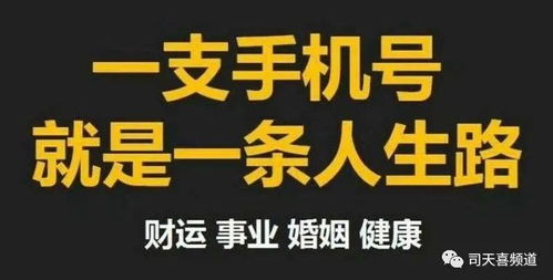 司天喜 数字能量中的正桃花与烂桃花