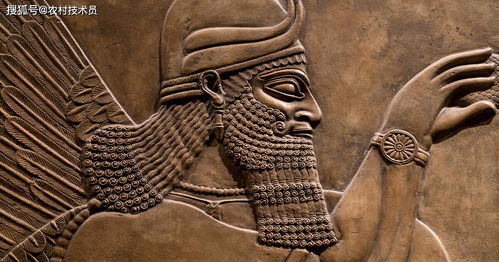 震撼 人类真正的起源 2万年前的苏美尔黏土碑所记载的惊人故事