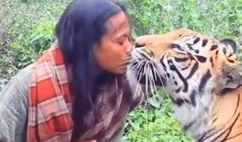国外女子放生老虎,5年后人虎再度遇见,老虎朝着她扑了过去