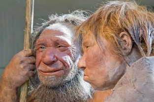 9 万年前 , 两种史前人类生了个 混血女孩