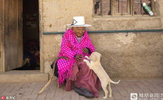 世界最长寿老人Julia Flores Colque 终生未婚（图）(世界最长寿老人146岁)