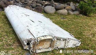 英专家称发现MH370:残骸在柬埔寨密林（图）(英专家称发现MH370 位于海平面以下)