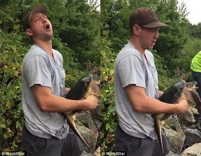 外国男子耍帅动物园水池捞龟送吻 被龟 反杀 下一秒悲剧 