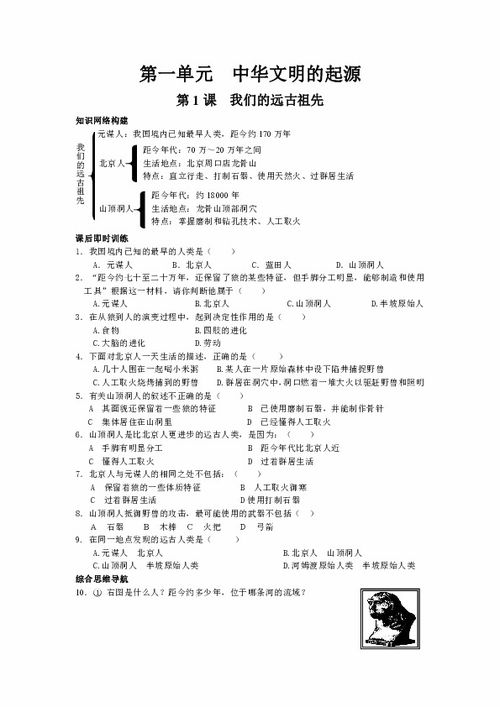 七年级历史知识点梳理下载 历史 