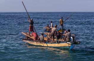 残忍 印尼小岛渔民以捕鲸为生 鲜血染红海水 