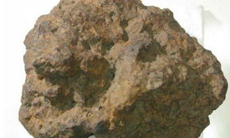 45亿年陨石从天降 一克陨石已超2850美元 约20000元人民币