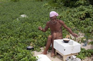 82岁 裸体隐士 独居荒岛30年 被强带回文明社会