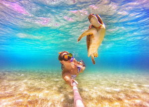 巴哈马美女潜水教练与水中生物自拍 