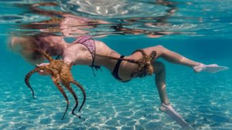 日前,一位身材姣好的美丽女子在海中游泳,身上却爬满了章鱼 让人不寒而栗 hao123上网导航 