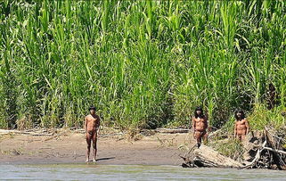亚马逊原始部落现身秘鲁雨林 与世隔绝600余年