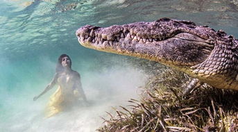 罕见！美女模特水下与恐怖巨鳄共舞 老公跟拍两小时（视频）
