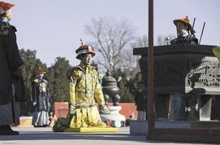 为何清朝大臣们在下跪前都要拍一拍袖子,其实我们都被电视剧骗了