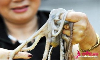 韩国一女子吃过半生鱿鱼 嘴巴竟然怀孕了 