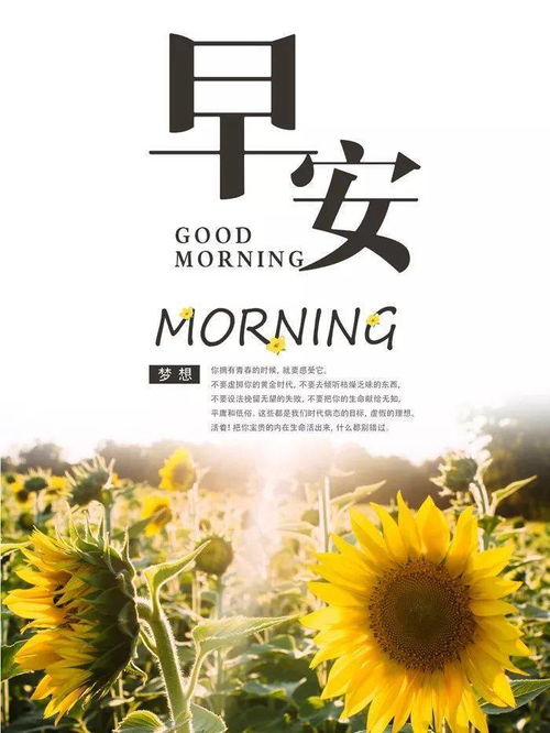 腾辉传媒早安心语 每天都要积极勇敢,用最好的心态面对生活