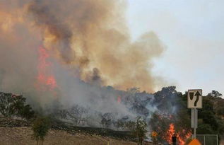 加州野火肆虐:ladygaga大厦被烟雾包围 或被烧毁(美国加州野火蔓延)