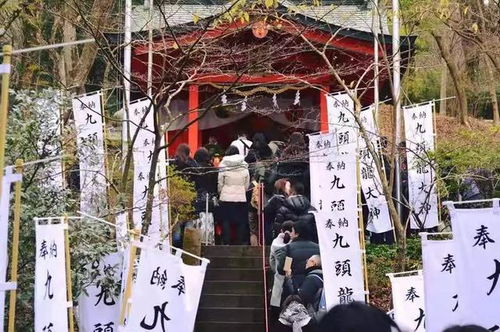 2020新年日本参拜神社排行榜,一年的气运全在这儿了