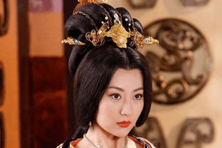 萧皇后母仪天下,有着倾国倾城的容貌,协助杨广登上皇位
