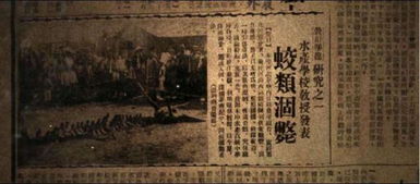 解读1934年营口坠龙事件 中国真的有龙吗