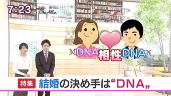 日本流行DNA相亲 遇上对的人闻起来是香香的（图）(无创dna什么时候开始流行的)