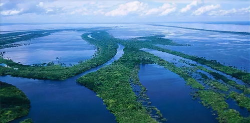亚马逊河到底有多可怕 为什么连当地人都不敢在里面游泳