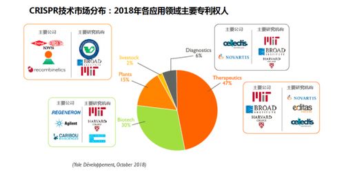 中国2000万罕见病患者等来了救命药