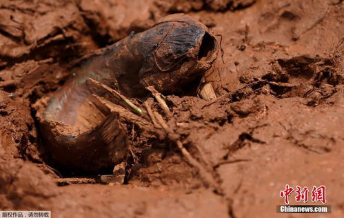 巴西矿坝决堤 泥石流中动物变 雕塑 
