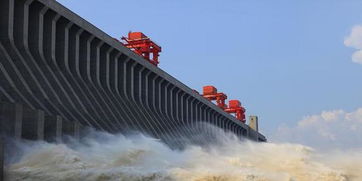 巴西淡水河谷公司一大坝决堤 造成200多人失踪