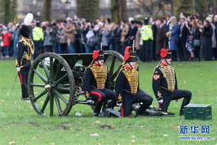英国皇家骑兵炮队鸣放礼炮庆祝英女王登基67周年 