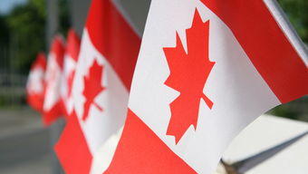 加拿大14名外交官状告本国政府 赔偿2800万加元(人质外交为什么要问加拿大)