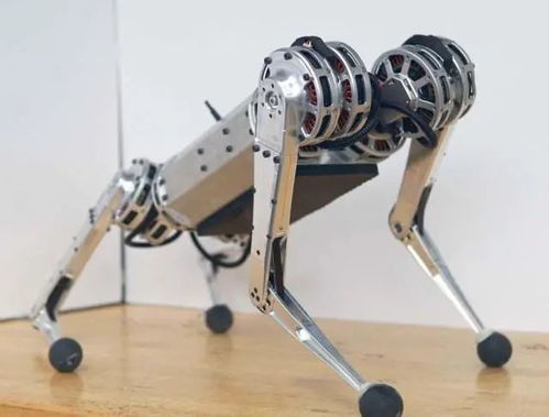 麻省理工展示迷你猎豹机器人Mini Cheetah 甚至会后(麻省理工迷你猎豹)