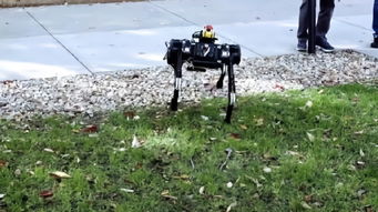 麻省理工打造迷你猎豹机器人 拥有两倍移动速度