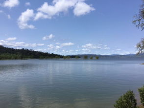 Lake Berryessa 伯耶萨湖