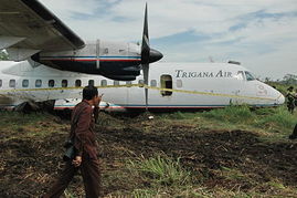 印尼客机在稻田成功迫降 