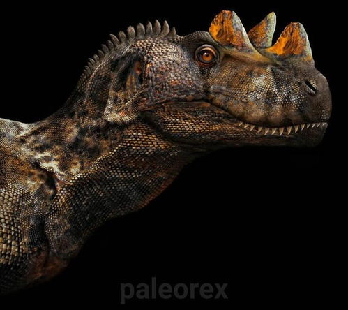 50张活久未见的恐龙照片,史前动物的实际样子,你见过几个