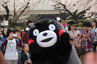 日本富士山有 Wi Fi,爬山上网没问题