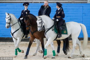 妇女节前夕 普京慰问骑警同女警一起骑马 