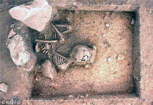 考古学家发现3000年前人类遗骸（图）(考古学家发现的什么能够证明商朝文化的存在)