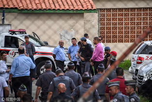 巴西圣保罗州一学校发生枪击案 致10死23伤 