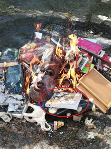 波兰天主教神父焚毁 宣传巫术 书籍,其中包括 哈利波特 