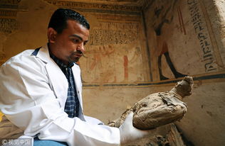 埃及发现托勒密王朝贵族古墓 保存完好装饰精美 