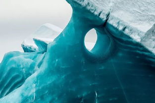 摄影师在南极拍到罕见翡翠冰山（图）(BBC摄影师在南极哭了)