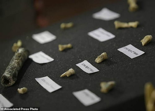 5万年前新人类物种遗骸 吕宋古人类(Homo Luzonen
