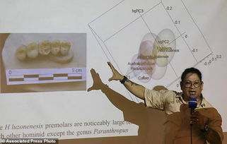 菲律宾吕宋岛发现全新古人类物种 吕宋人 Homo luzonensis 