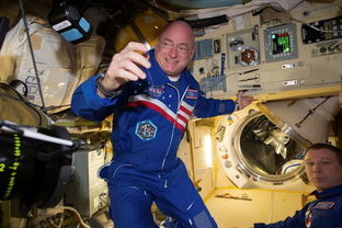 宇航员太空待340天 DNA永久突变 NASA宇航员史考特Scott Kelly(宇航员太空待多久)