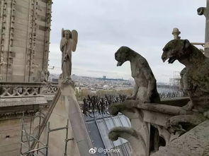 巴黎圣母院起火原因或为电线短路 重修至少8 10年