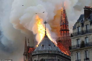 巴黎圣母院大火后续 重要文物荆棘冠等已被抢救