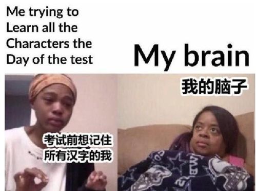 外国人用梗图吐槽学中文,像极了学英语的我们,看完不厚道地笑了