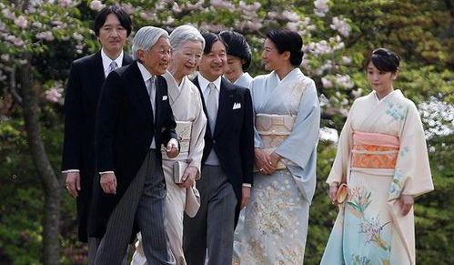 皇太子妃雅子宣誓为人民服务,明年日本新皇登基将放10天假