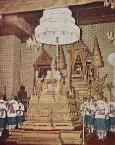 泰国国王头戴7公斤王冠正式加冕,与新王后演绎现实版 保镖 